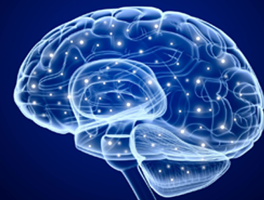 EEG