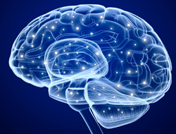 EEG--image