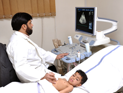 Echocardiography