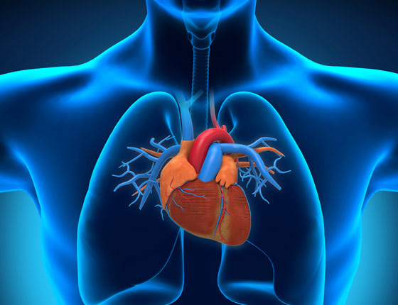 Cardiology
