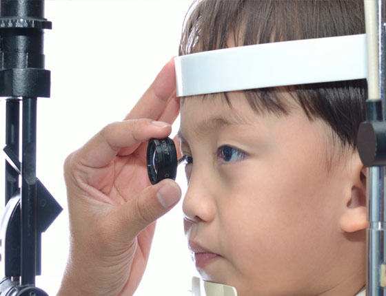 Ophthalmology