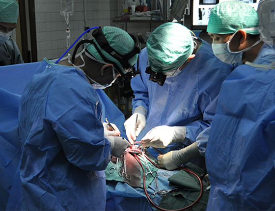 Paediatric-inner-img