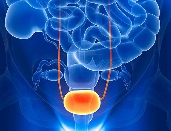 TURP-IMG