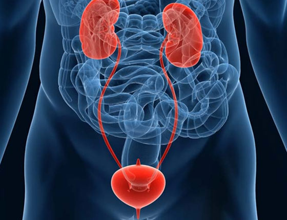 Urology